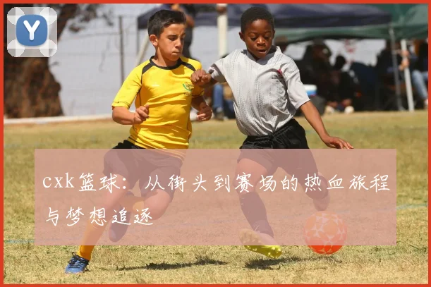 cxk篮球：从街头到赛场的热血旅程与梦想追逐