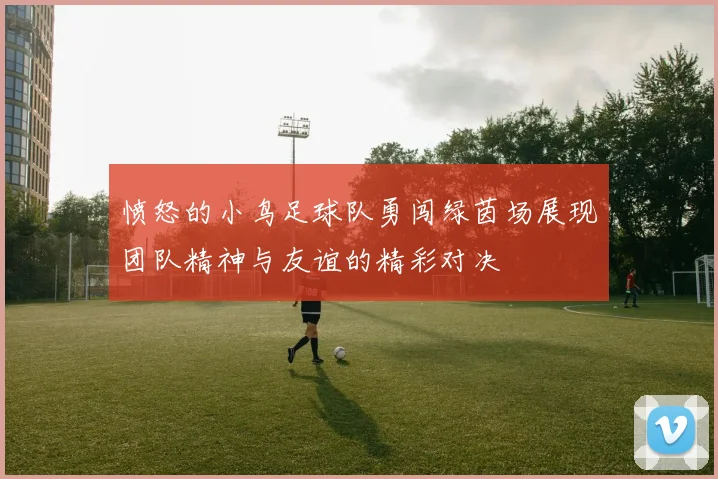 愤怒的小鸟足球队勇闯绿茵场展现团队精神与友谊的精彩对决